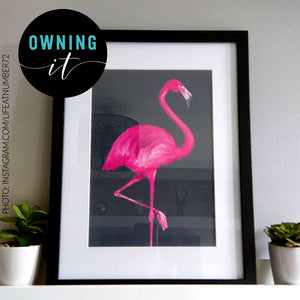 flamingo print framed