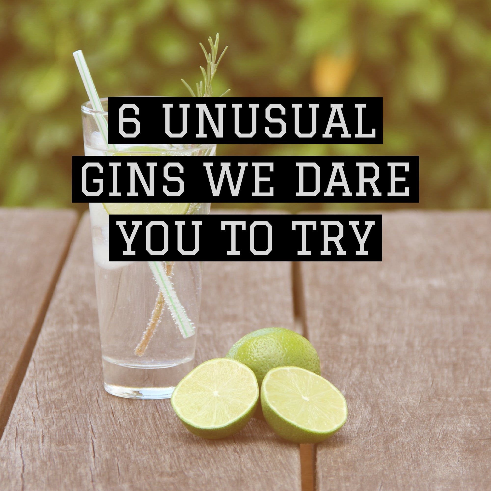 6 unusual gins we dare you to try