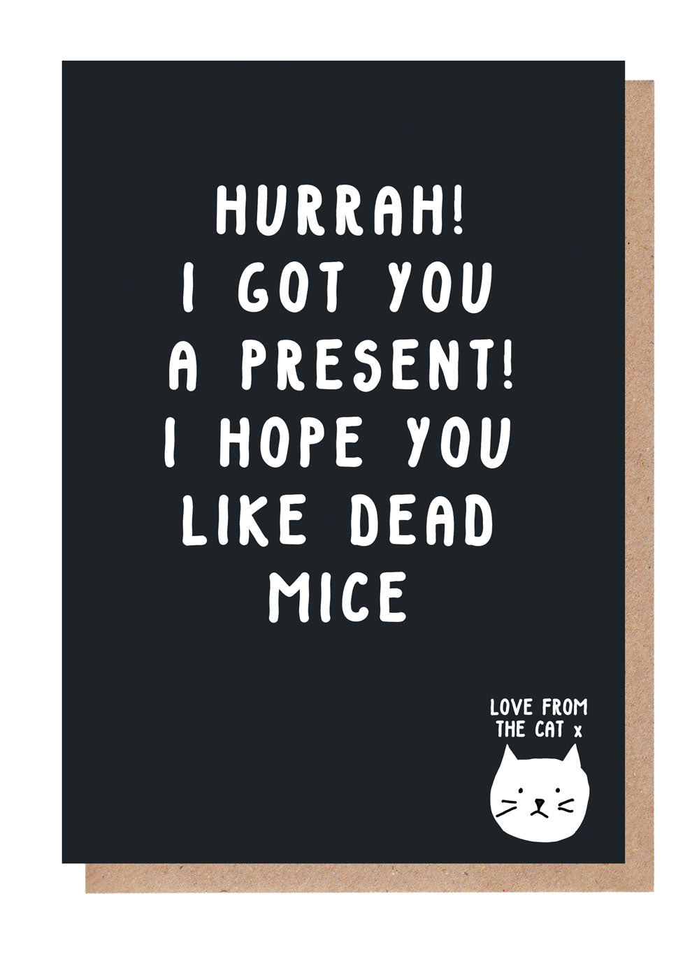 I Hope You Like Dead Mice Card From The Cat