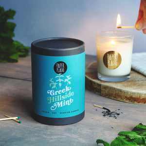 Greek Hillside Mint Vegan Soy Candle